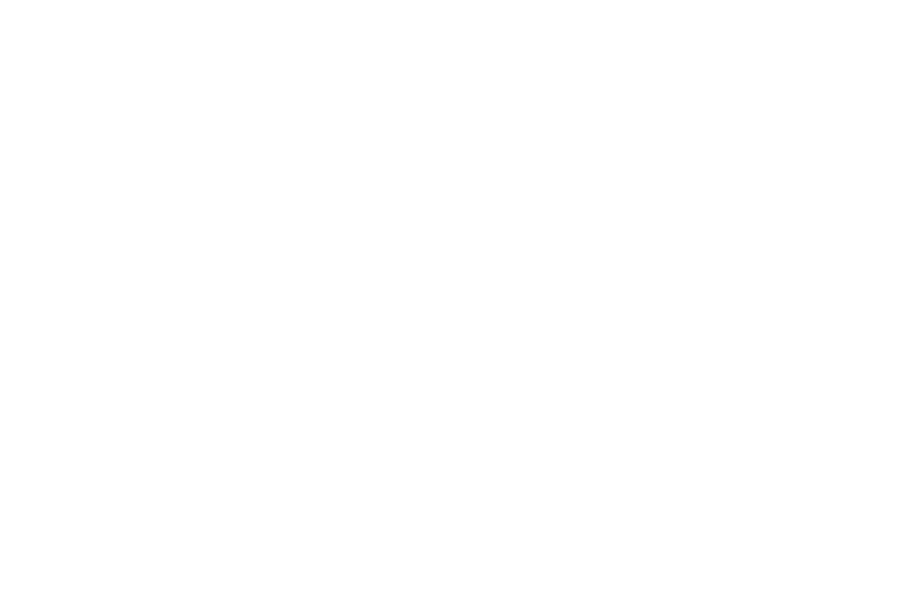 Swinkels Consulting
